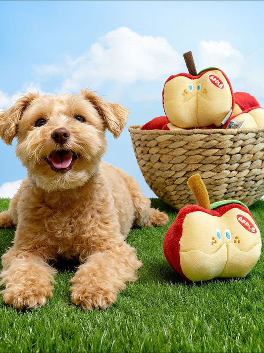 Apple Treat Pocket Toy