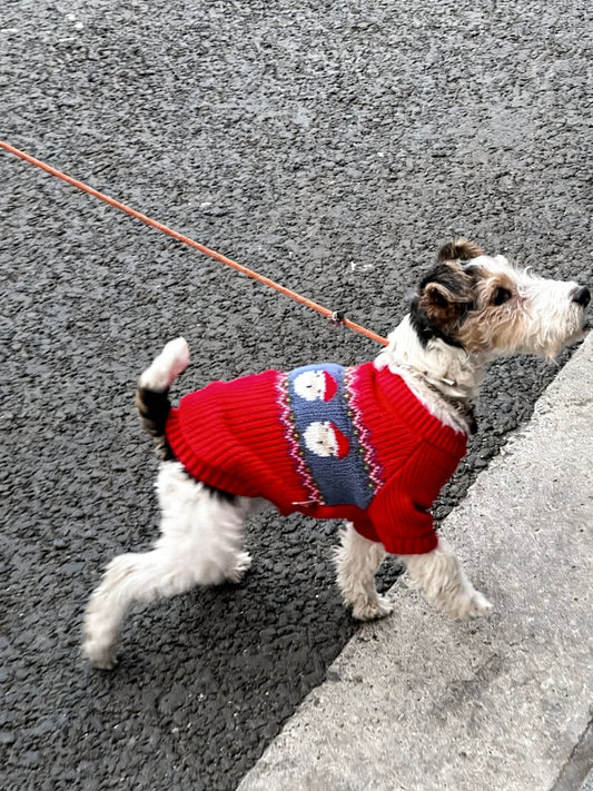 Santa Cozy Knit Sweater - Fuffus