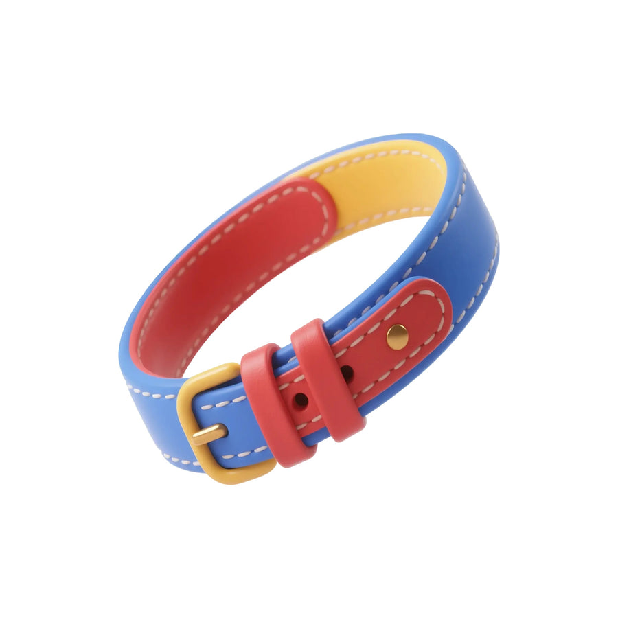 Pet walking gear