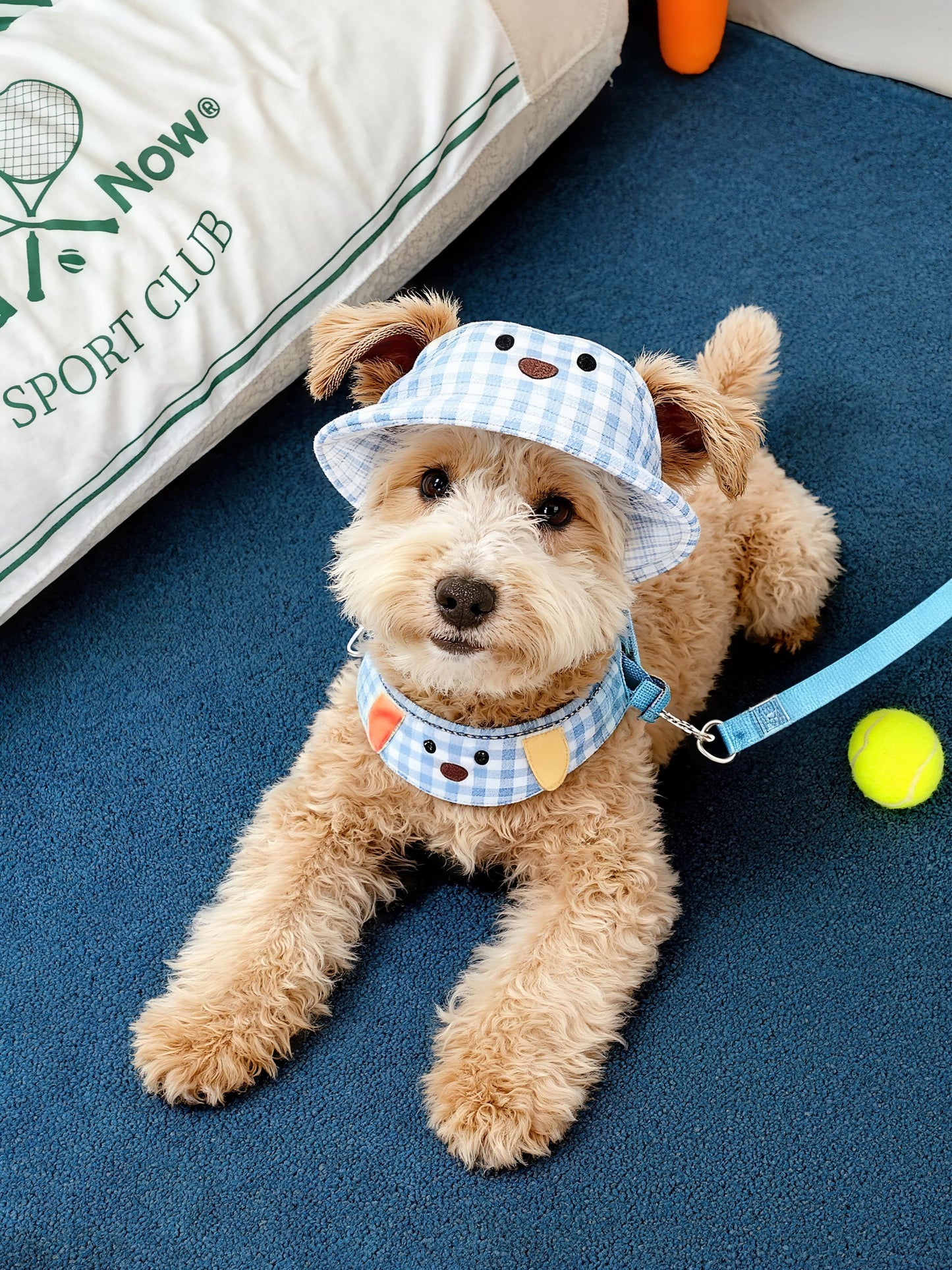 Plaid Pup Harness Set