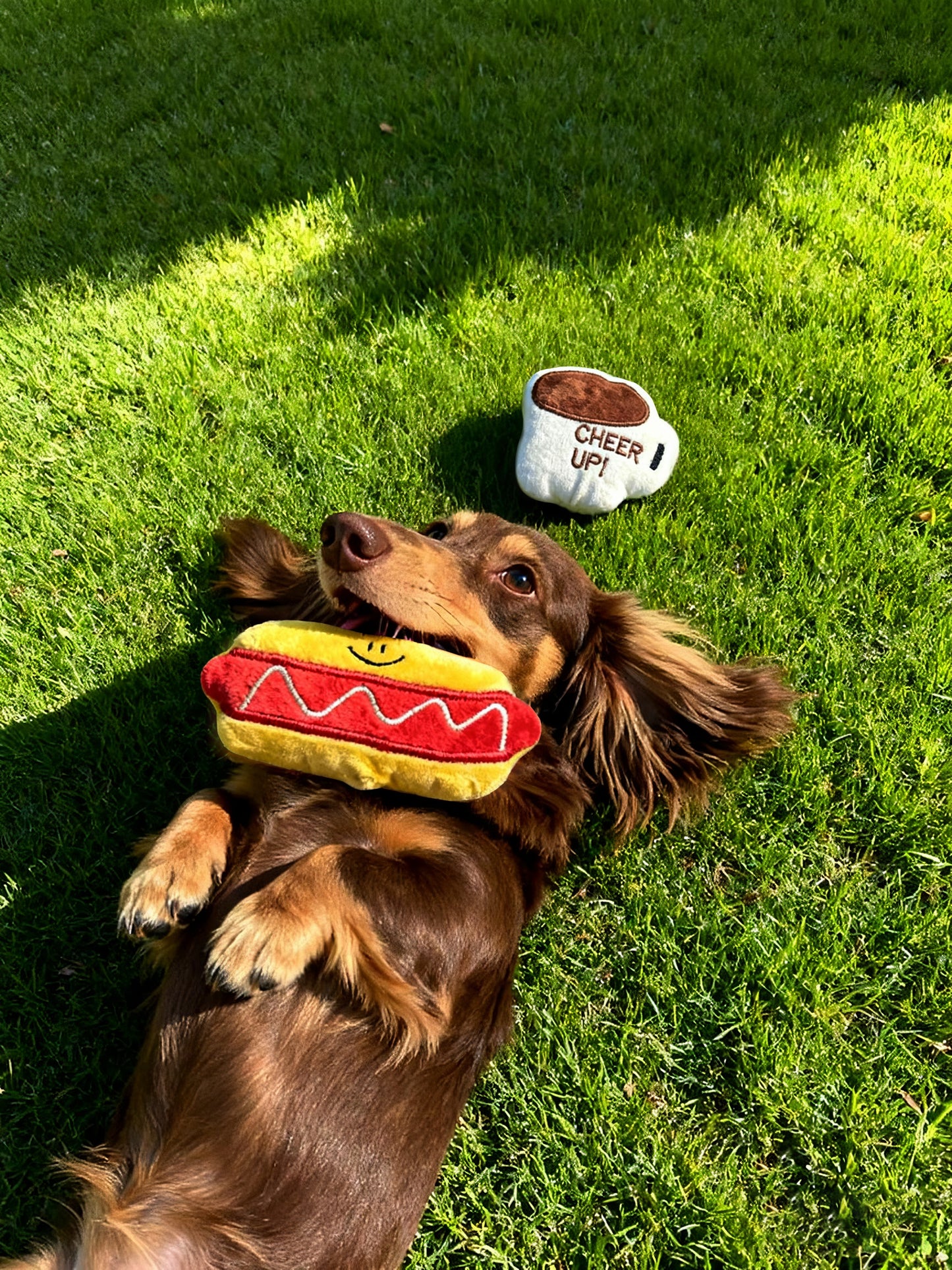 Cute Hotdog-Shaped Plush Toy