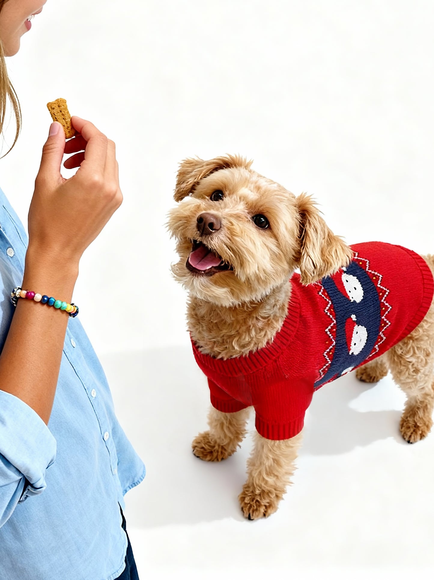 Santa Cozy Knit Sweater