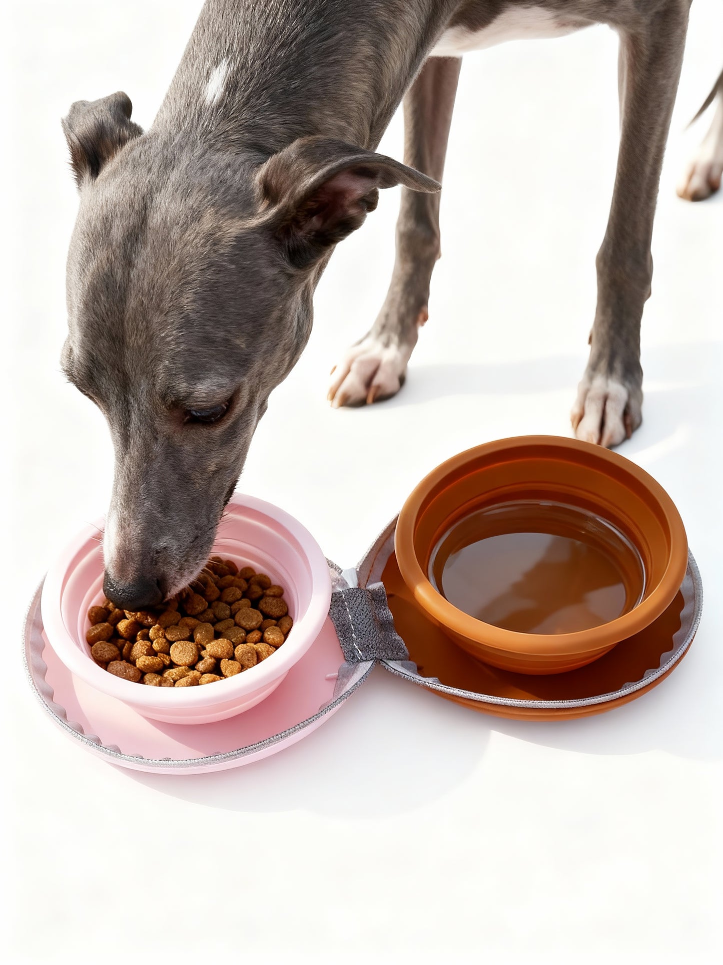 Travel Pet Bowls Duo