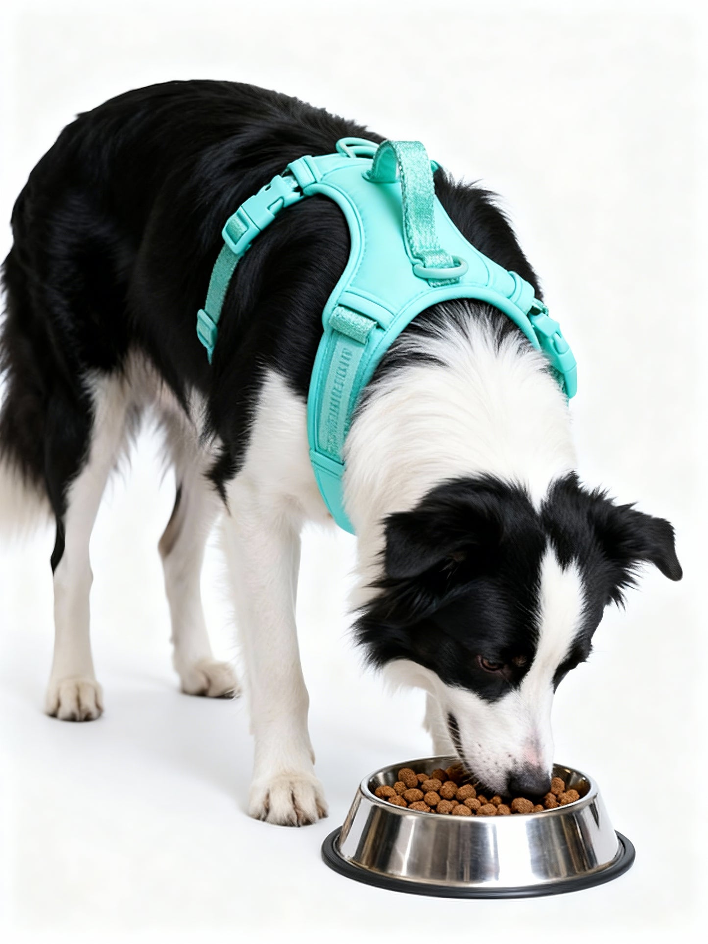 AirMesh Dog Harness