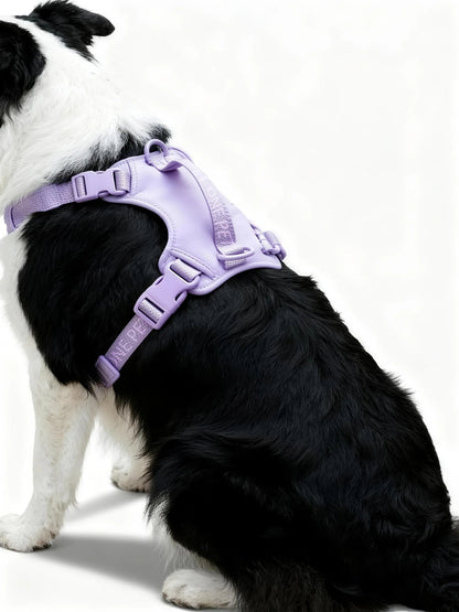 AirMesh Dog Harness