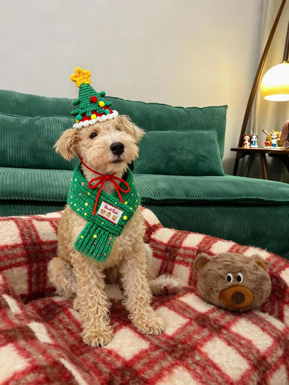 Pet Christmas Knit Hat & Scarf