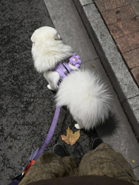 AirMesh Dog Harness - Fuffus