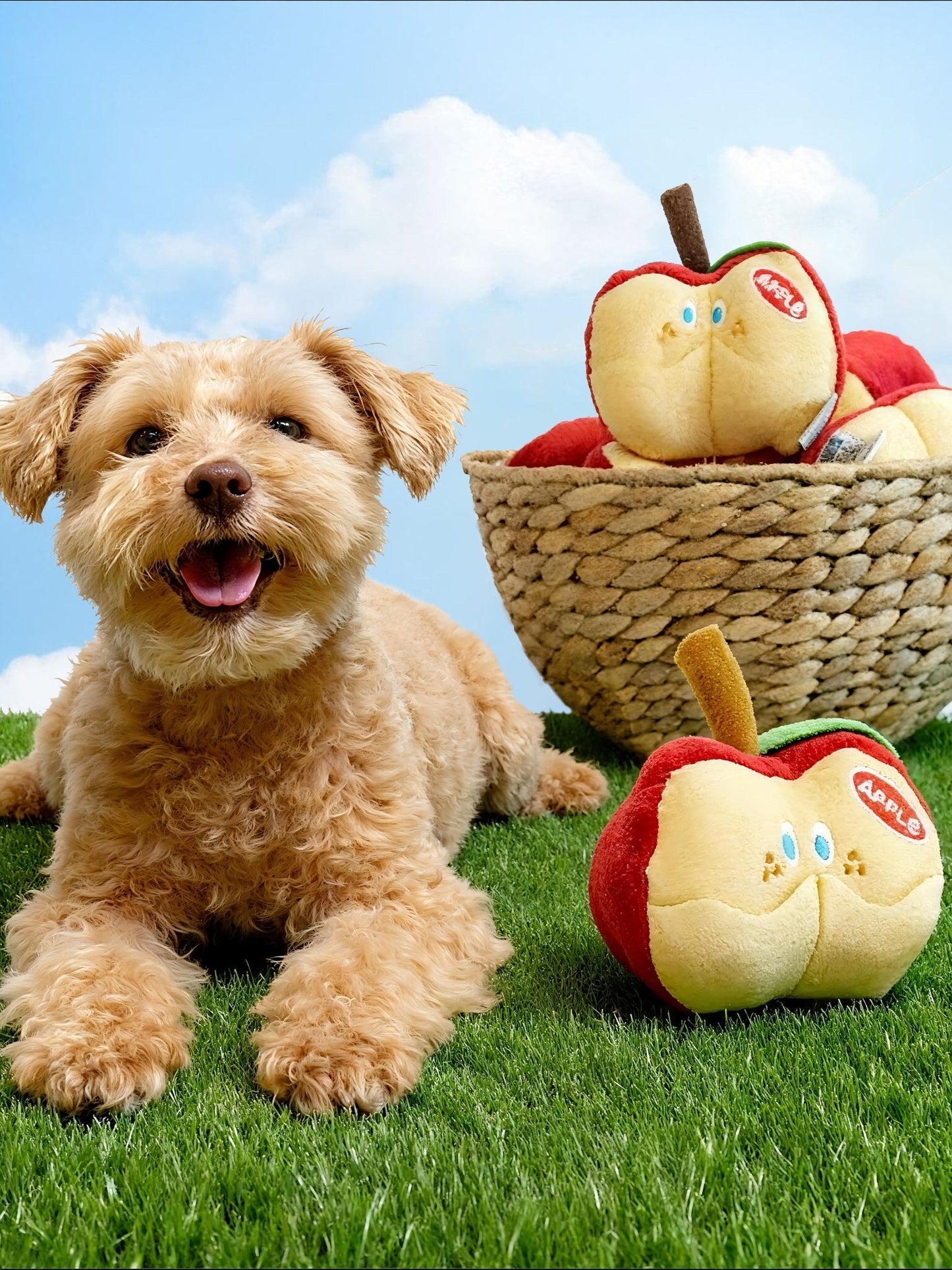 Apple Treat Pocket Toy - Fuffus