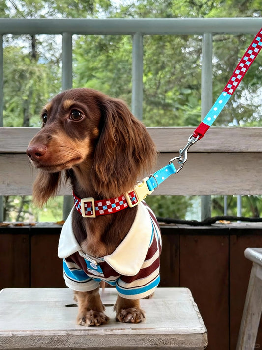 Polka Pup Half - P Collar - Fuffus