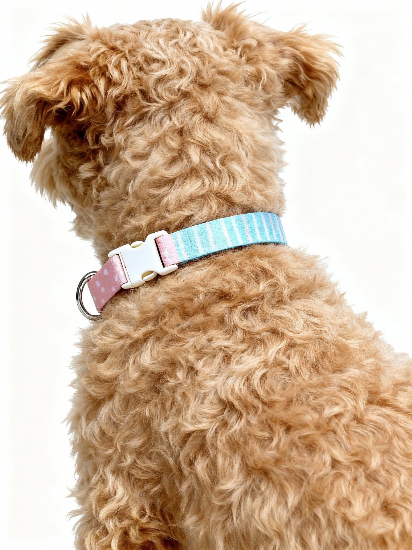 Polka Pup Half - P Collar - Fuffus