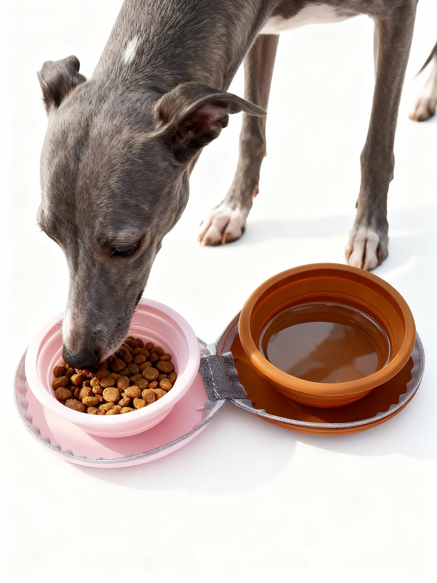 Travel Pet Bowls Duo - Fuffus